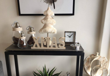 Spaces + Places Logo