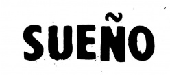 Sueno Hair logo