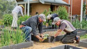 Look East Digital Images 1280 x 720px - Christmas 2025 - Linde C Garden 01 (A1294703)